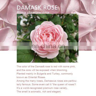 Brightening Whitening Damascus Pure Bulk Private Label Organic Hydrosols Spray Rose Water photo-4