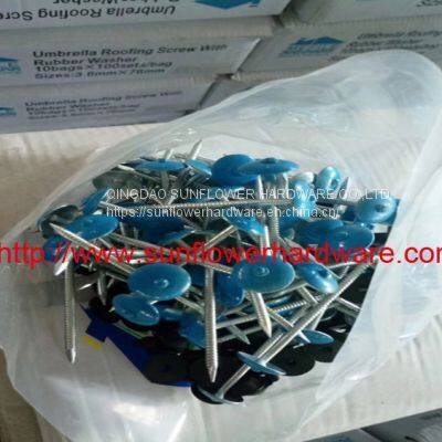 Colourful Roofing Nails photo-3