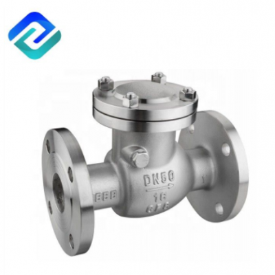 Stainless Steel 304 Filter Flange End SS Y Strainers