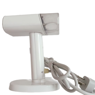 detergent engine garment steamer for house