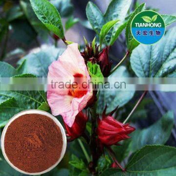 Roselle Hibiscus Sabdariffa Extract of high quality