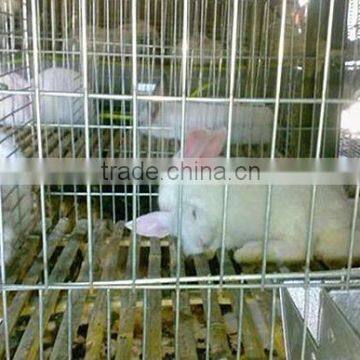 rabbit rearing cage/ battery rabbit coop for poultry rabbit farm