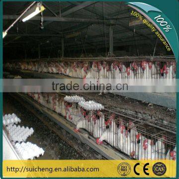 Guangzhou Factory chicken cage south africa/poultry layer chicken cage/high quality chicken cage