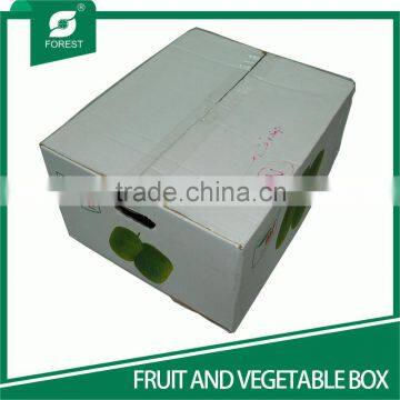 CUSTOM PRINTED CORRUGATED CENTER SPECIAL OVERLAP SLOTTED CONTAINERS FOR VEGETABLE AND FRUITS PACKAGING photo-3