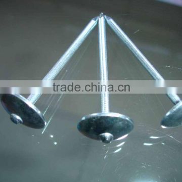 High quality roofing nail (China factory)