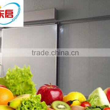 Fish Storage Freezer photo-3