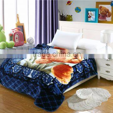 wholesale china blankets 100% polyester new design raschel blanket                        
                                                Quality Choice
                                                                    Supplier's Choice