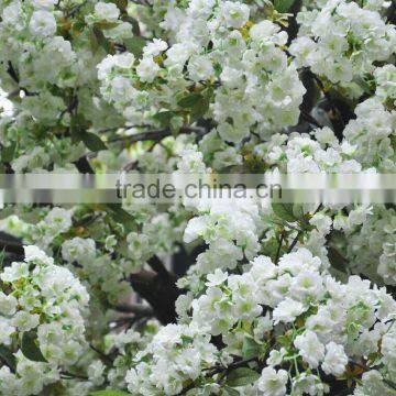 Romantic Artificial Indoor White Cherry Blossom Tree for Wedding Decoration photo-2