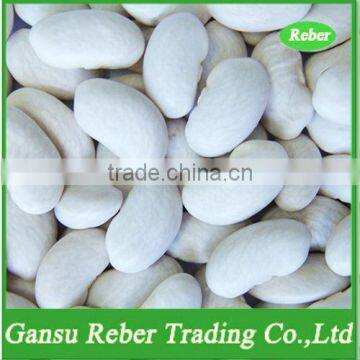White Kidney Beans