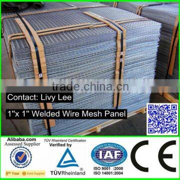 1'' Welded Wire Mesh Panel with CE Certificate 20 years factory