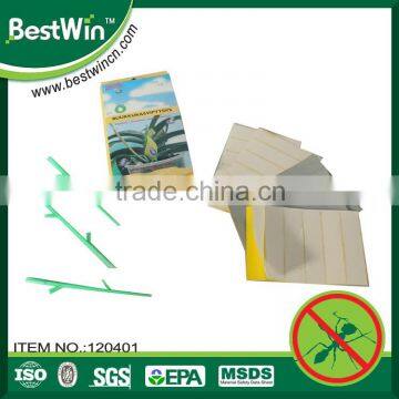 BSTW welcome OEM ODM new generation insect catcher