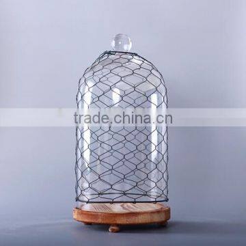 antique bell jar with wooden base and wire