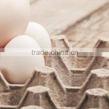 New Eco-friendly Paper Pulp Egg Tray Egg Cartons photo-3