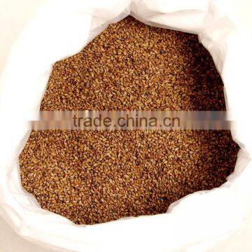 Baked Cassia Seed/ China Cassia Seed Tea photo-3