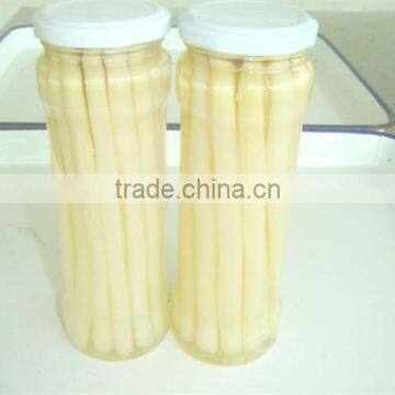 Wholesale White Asparagus in Cans Popular