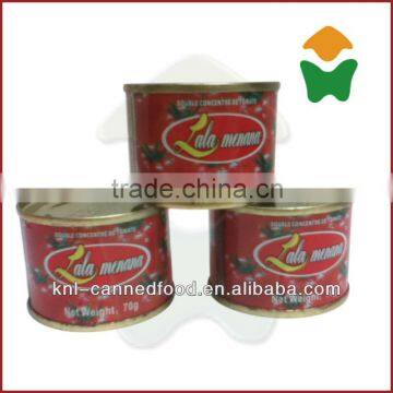 OEM Delicious 28-30 70g Xinjiang Tomato Paste 70gX50tins photo-1