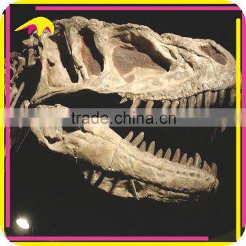 KANO2625 Theme Park Customized Attractive Dinosaur Fake Fossil