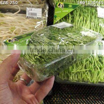 Fruit Packaging Tray 750g Disposiable Clear Plastic Packing Flat Vegetables Tray