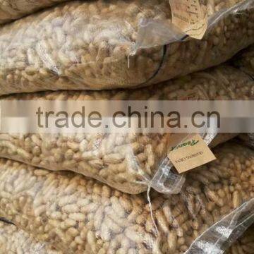 2014 New Crop Red Skin Peanut Kernels, Red Skin Four Grain Peanuts 40/50,50/60 photo-4