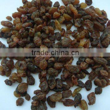 Brown Sultana Raisin