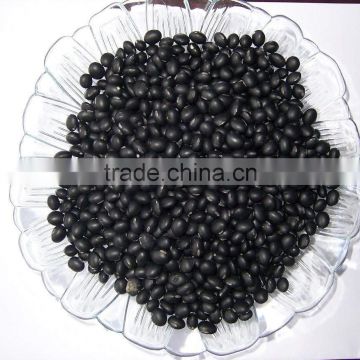 2013 new crop of Small Black Bean-factory supplying