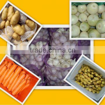 supply all kinds of fresh vegetables such as potato carrot