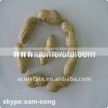 Top grade and now crop Chinese peanut in shell suppliers