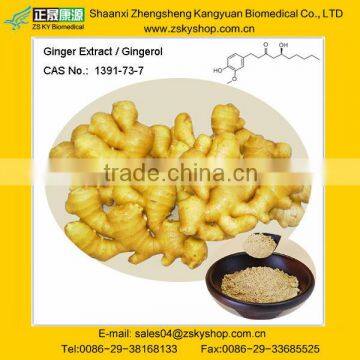 ZINGIBER OFFICINALE (GINGER) ROOT EXTRACT with Gingerol 1%-5%