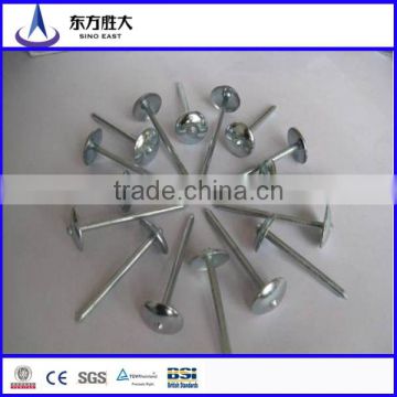 Galvanized umbrella Roofing nail From 3/4" to 2"