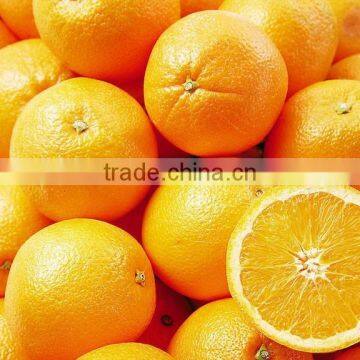 Citrus Aurantium Extract 90%-98% Hesperetin photo-3