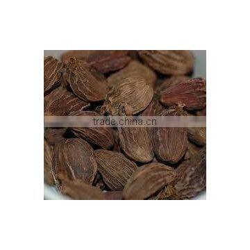 Cardamom