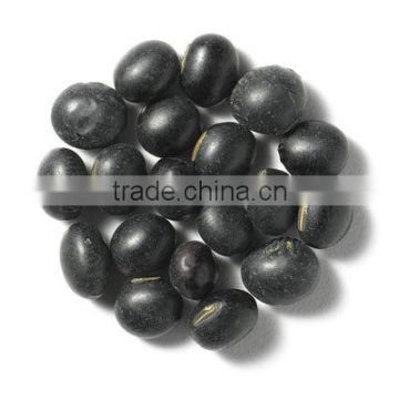 black soybean hull extract anthoyanins