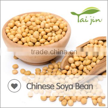 Organic soy bean seed