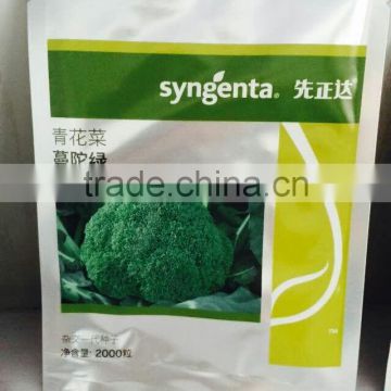 Mid early maturity wide adaptability broccoli seeds syngenta broccoli seeds hybrid F1 seeds