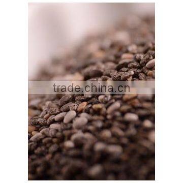 Chia Seeds Bulk