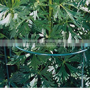 Garden Wire Tomato Supports