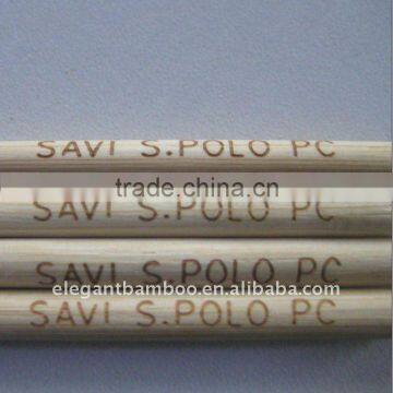 Hot Stamped Bamboo Food Sticks