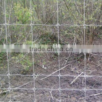 Hot-dipped Galvanized Field Fence/grassland Fence photo-3