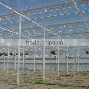 Modern Apperance Hot Dip Galvanized Steel Structure Glass Covering Greenhouse photo-3