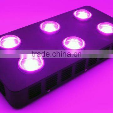 2016 Best Sell 360W COB Full Spectrum LED Grow Light With Innovated Chips photo-4
