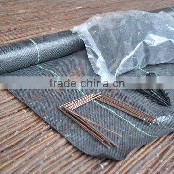 pp woven ground cover cloth