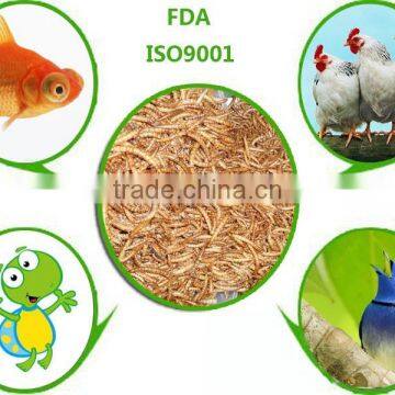 Pet Food Manufacturer Best Quality Chicken Feed Mealworm