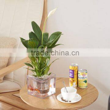 Round Clear Plastic Orchid Pot photo-2