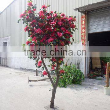 Indoor Artificial Decoration 2-5 m H Fake Flower Potted Bonsai Plant LGH15-06