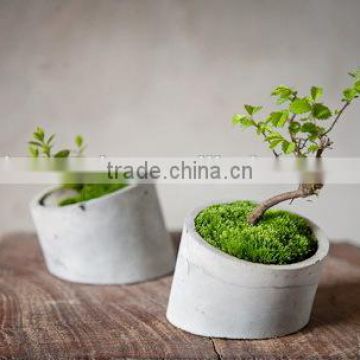 Low price small indoor concrete flower pot