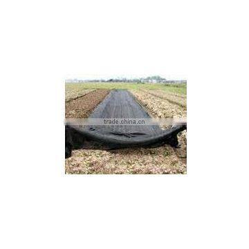 Agricultural pp Weed Mat Black Plastic Ground Cover for Sale photo-3