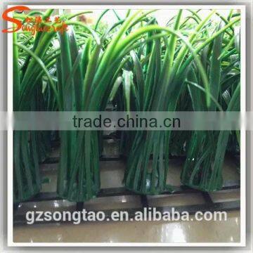 Artificial pe Grass Factory Wholesale Plastic Artificial Grass Plastic Artificial pe Grass photo-3