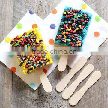 Birch Wooden Ice Cream Spoon