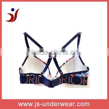 Factory OEM ODM Ladies Latest Design Bra / Ladies Sexy Bra Ladies Underwear Bra New Design photo-2