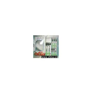 Sell Salad Set